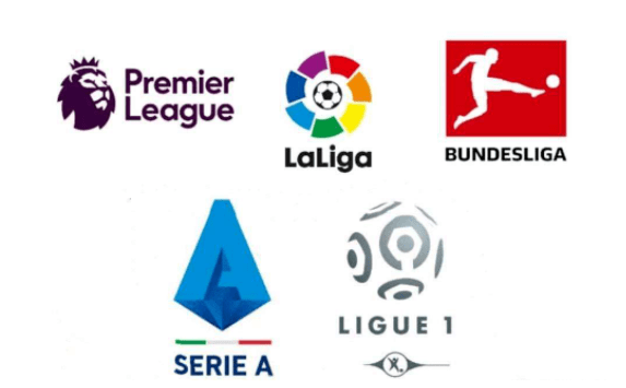 体育机构建 体育机构建